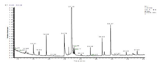 그림 6. 천마 꽃대의 비수용성 성분 GC/MS chromatography