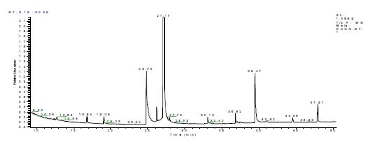 그림 7. 천마 괴경의 비수용성 성분 GC/MS chromatography