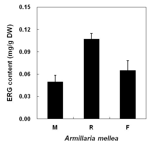 그림 8. 뽕나무버섯(Armillaria mellea) 조직별 에르고티오닌의 축적