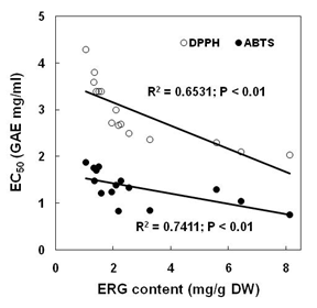 그림 12. ERG 함량과 항산화능에 대한 상관관계
