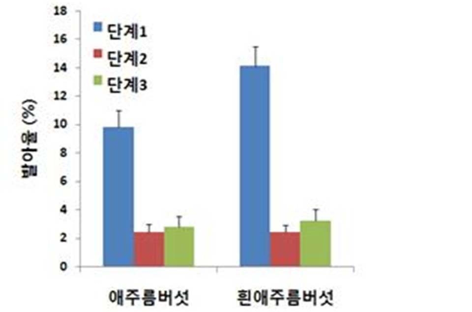 그림 28. 신규 애주름버섯균(Mycena sp. KFRI1212)과 흰애주름버섯균에 의한 종자발아율 비교