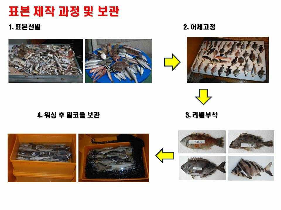 어류표본 제작 및 보관