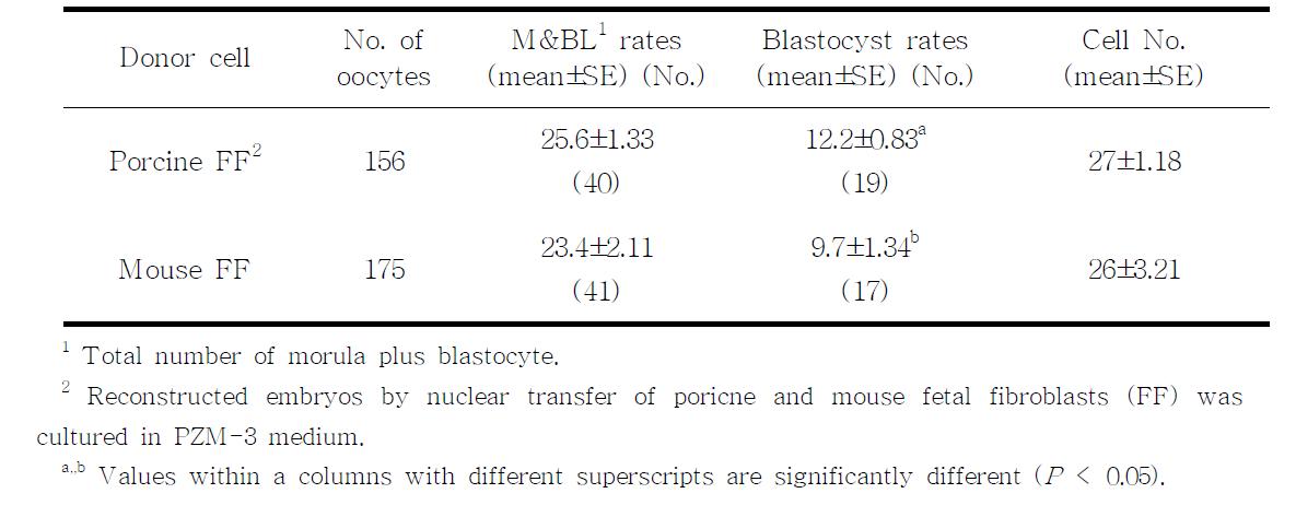 In vitro development of interspecies nuclear transfer embryos with porcine and mouse somatic cells into porcine oocytes