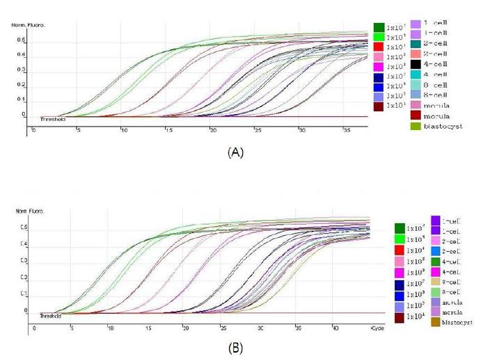 미토콘드리아 DNA 분석을 위한 real-time PCR의 primary curves 분석 (A) Pig-specific standard curve and mouse-pig cloned embryo curves; (B) Mouse-specific standard curve and mouse-pig cloned curves.