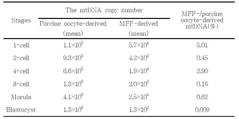 Mitochondrial DNA copy numbers derived from porcine oocyte and MFF in mouse-porcine cloned embryos at different stages. A values are means of triplicates