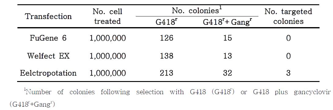 Targeting efficiency in pig fibroblast cells following single selection and double selection