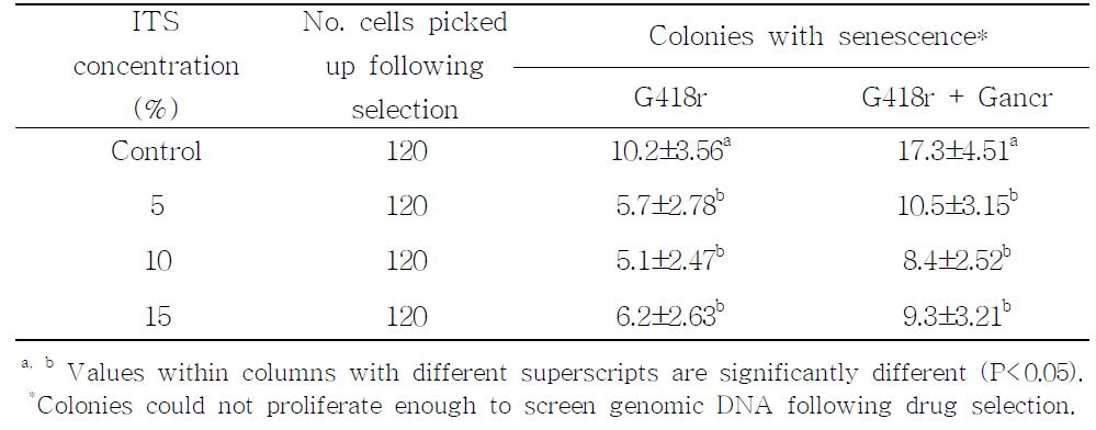 Effects of ITS during in vitro culture on colony growth of pig embryonic fibroblast cells following transfection with targeting vector and then drug selection