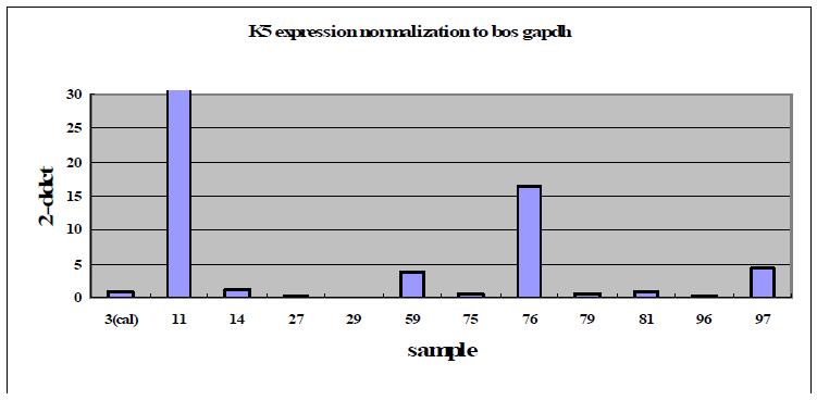 Real time PCR of K5 clonal cells.