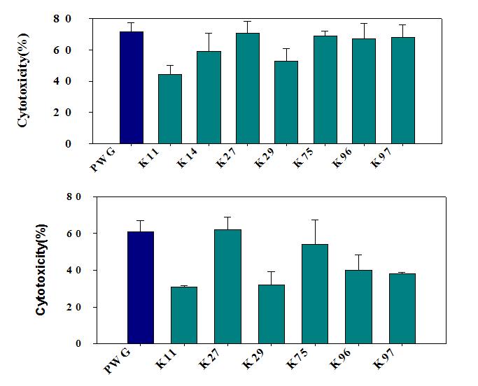 Real time PCR of K5 clonal cells.