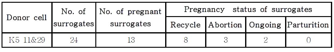 The result of embryo transfer with transgenic clonal cell lines.