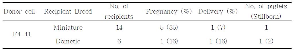 In vivo development of cloned porcine embryos derived from fetal fibroblasts of miniature pig and transferred to minature or domestic recipient pigs