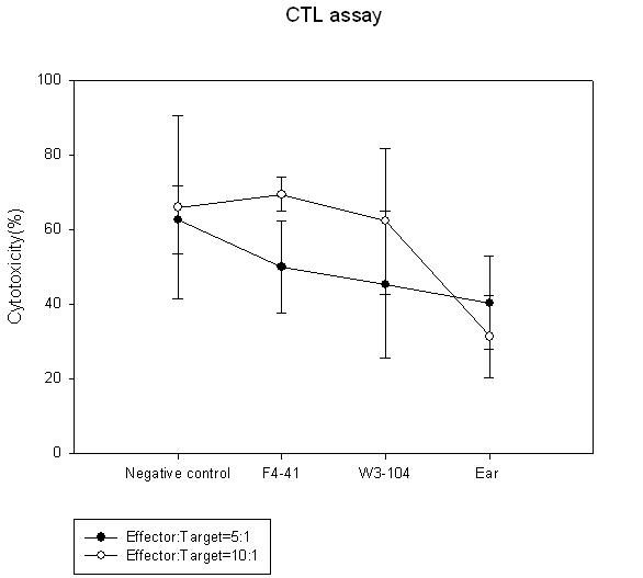 Cytoprotective effect of FasL expression on miniature pig cells against human CD8+ lmyphocytes. The assays were performed for 4 hours in the culture medium with CD8+ CTL.