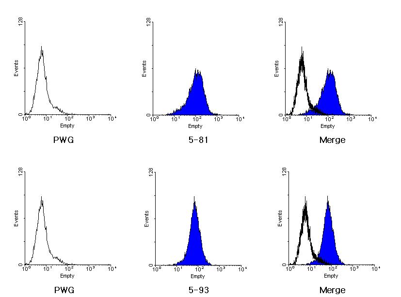 Flow Cytometry of positive hDAF clonal cell line. PWG normal cell line (Negative control), Clonal cell line (5-81, 5-93) and Merge.