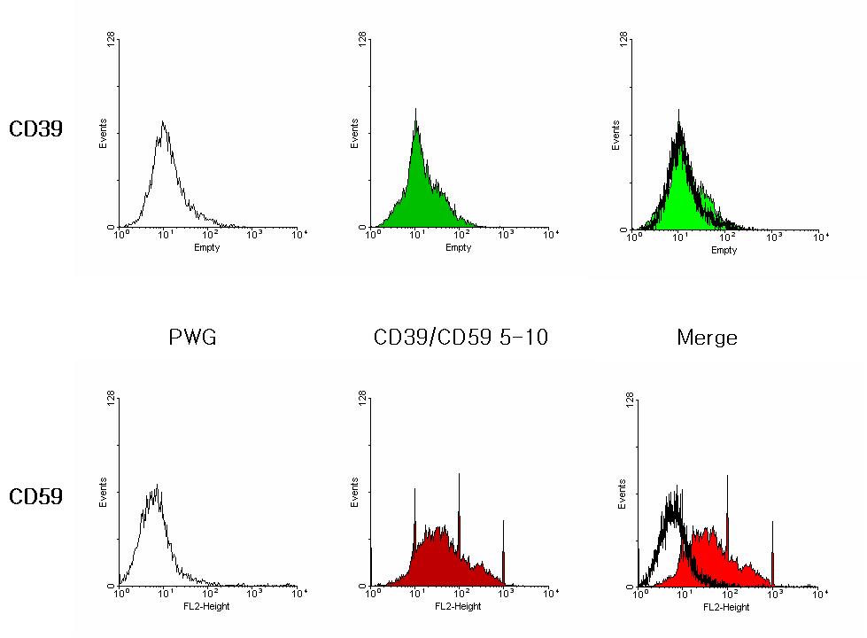 CD39/CD59 clonal cell line Flow cytometry