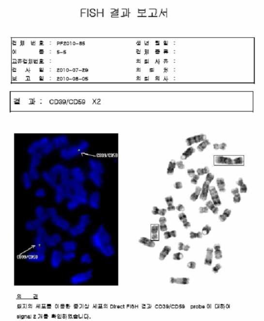 CD39/CD59 clonal cell line 5-5 FISH