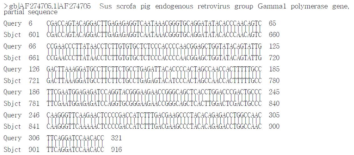 Best sequence alignments of PERVs sequences obtained in this study using BLAST searches against NCBI database.