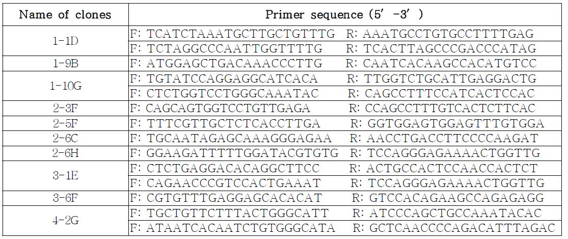 PCR primers for BAC contig mapping of PERV-C type