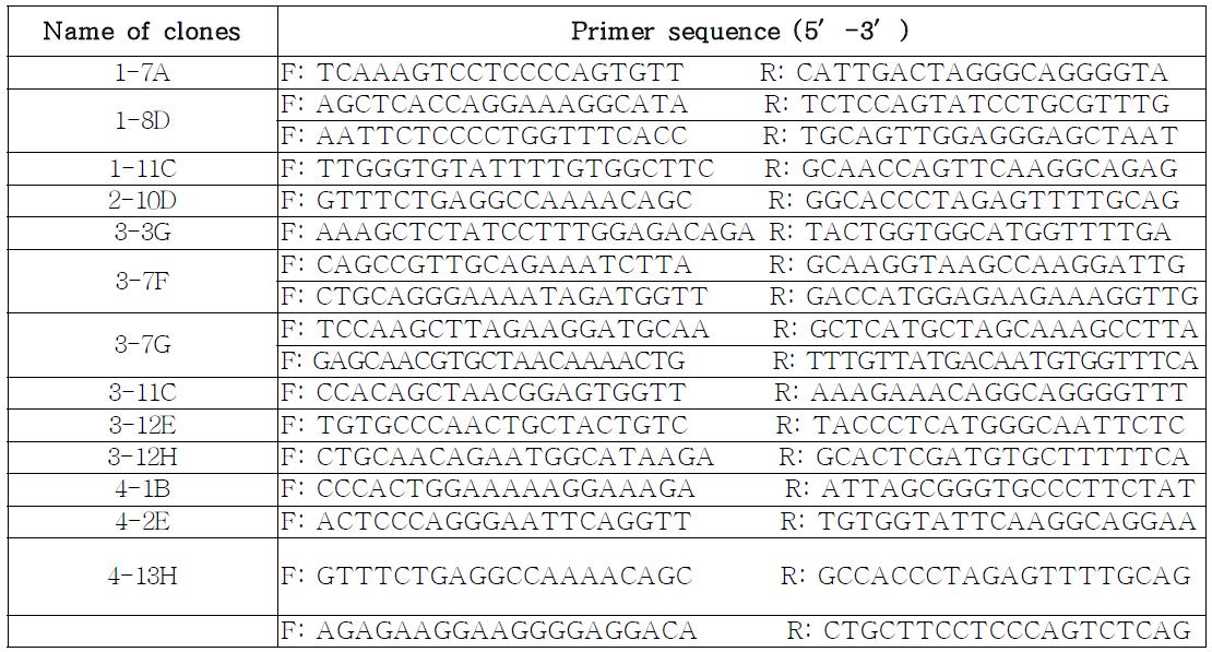 PCR primers for BAC contig mapping of PERV-B type