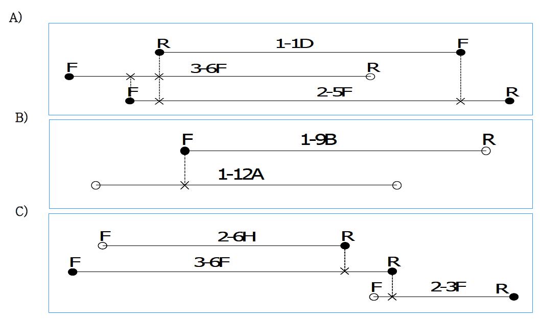 BAC contig maps for PERV-C clones using primers from BAC-end sequences.