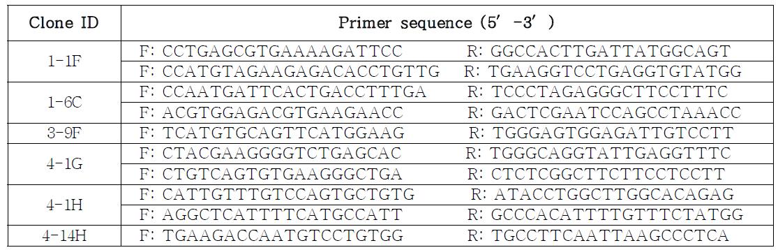 PCR primers for BAC contig mapping of PERV-A type