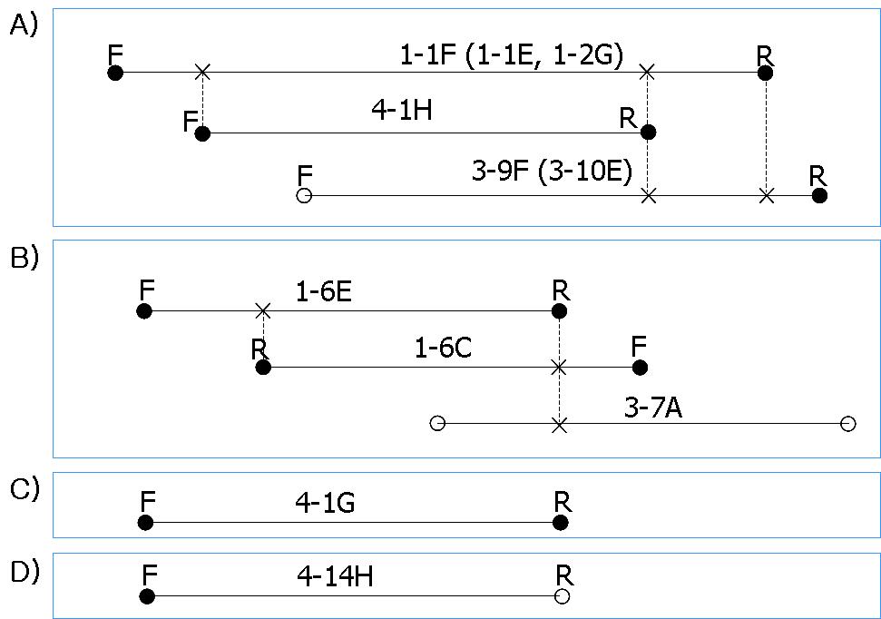 BAC contig maps of PERV-A clones using the primers from BAC-end sequences.