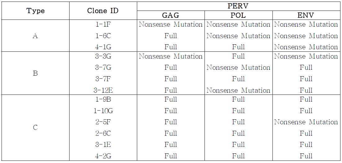 The deduced stop codon information among PERV positive BAC clones