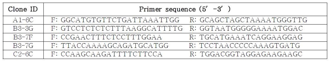 PCR primers for identification of variation of PERV in different pig breeds