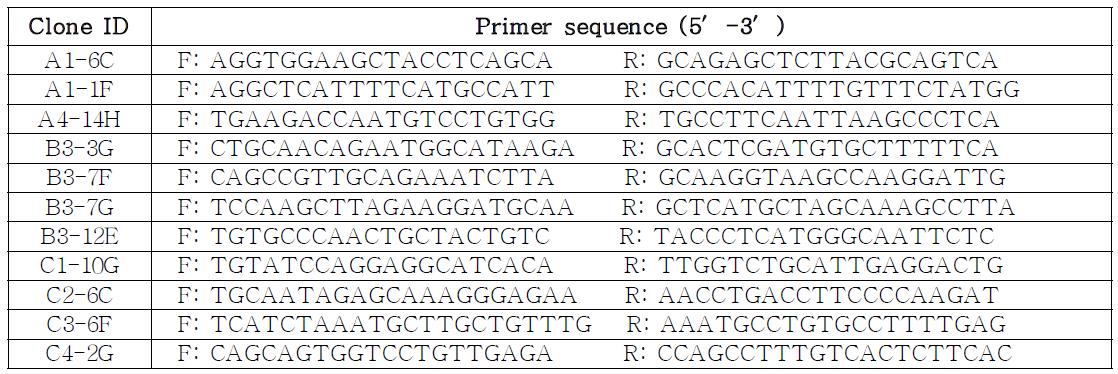 PCR primers for identification of PERV location in PIG genome