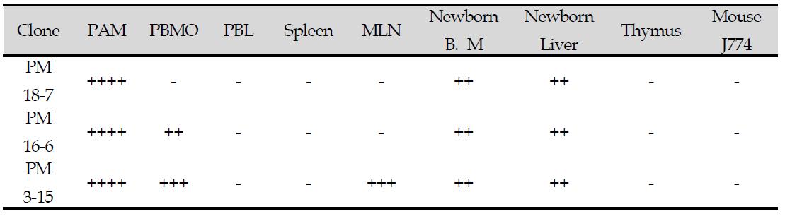 생산한 클론 중 대식세포(PAM), 단핵세포(PBMO), 과립성백혈구(PMN)에 특이적 결합을 하는 3개의 하이브리도마 라인 구축