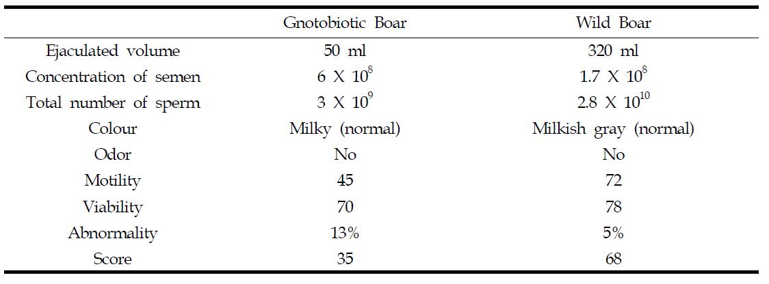 일반돼지와 미니돼지 정액분석