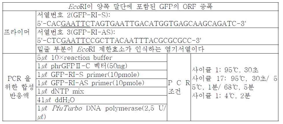 벡터 디자인에 따른 프라이머 서열 및 PCR 조건