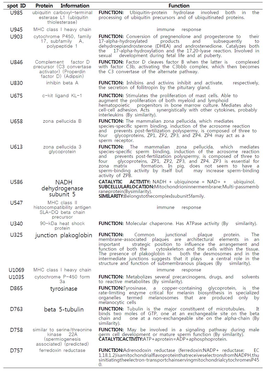 Functions of proteins between mature and immature oocytes