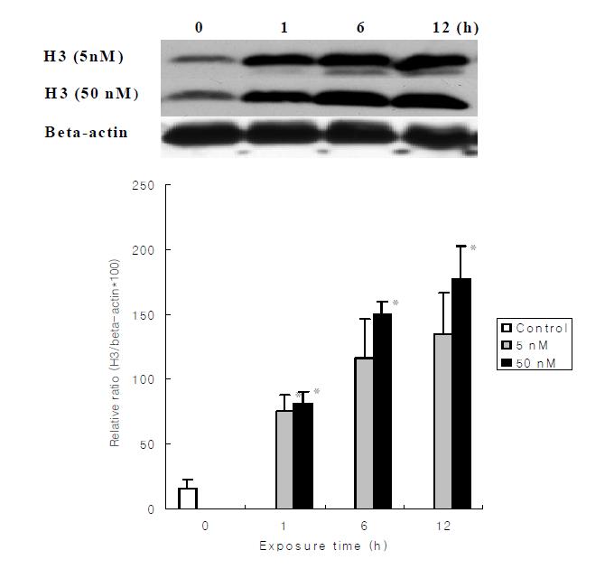 돼지 섬유아세포에 5 nM와 50 nM 농도의 Trichostatin A (TSA )를 0, 1, 6 and 12 시간 동안 처리한 후 histone H3 aceltylation 상태의 분석