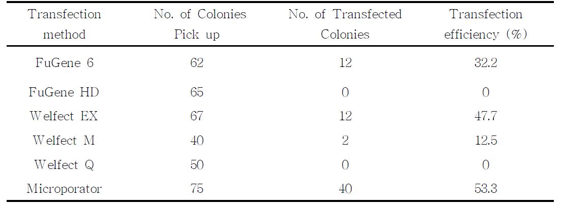 Transfection efficiency of tPA gene into porcine fetal fibroblast with different transfection methods