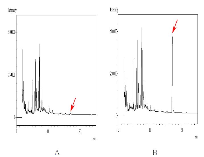 무처리 및 회수율 시험의 Chromatograms. A : 무처리 인삼시료 B : Azoxystrobin 1.0 ㎎/㎏ 처리구