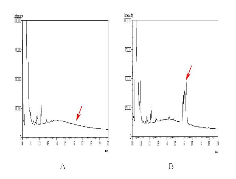 무처리 및 회수율 시험의 Chromatograms. A : 무처리 인삼시료 B : Cypermethrin 1.0 ㎎/㎏ 처리구