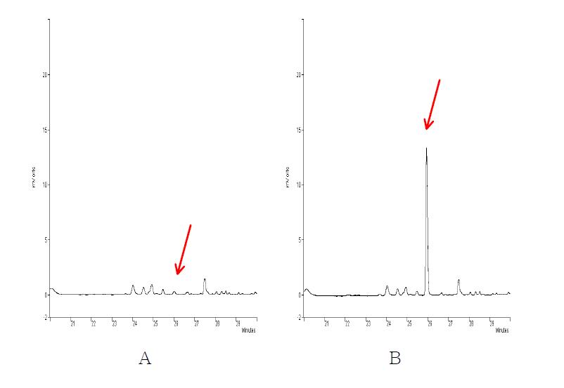 무처리 및 회수율 시험의 Chromatograms. A : 무처리 인삼시료 B : Diethofencarb 1.0 ㎎/㎏ 처리구