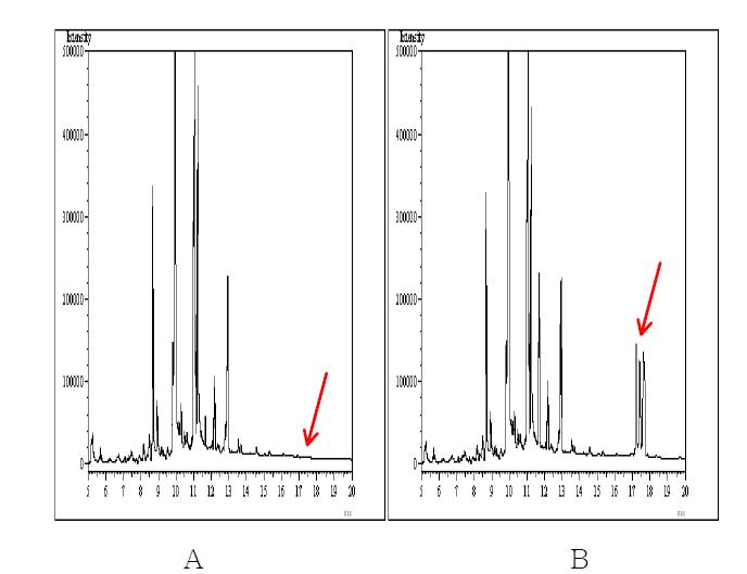 무처리 및 회수율 시험의 Chromatogram. A : 무처리 인삼시료 B : Cypermethrin 1.0 ㎎/㎏ 처리구