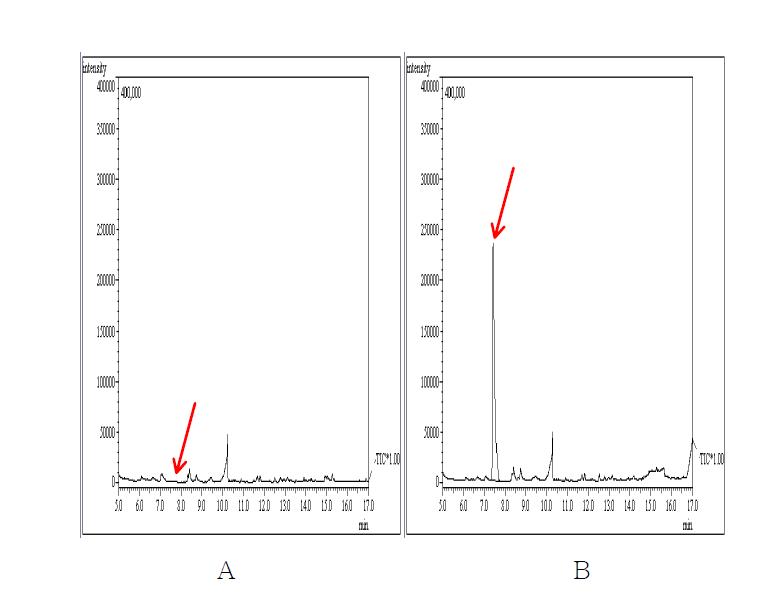 무처리 및 회수율 시험의 Chromatogram. A : 무처리 인삼시료 B : Diethofencarb 1.0 ㎎/㎏ 처리구