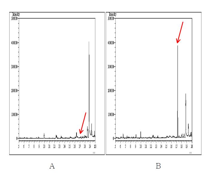 무처리 및 회수율 시험의 Chromatogram. A : 무처리 인삼시료 B : Tolclofos-methyl 1.0 ㎎/㎏ 처리구