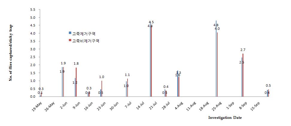 고죽 제거에 따른 포지내 인삼줄기버섯파리 월동 후 성충의 트랩당 포획 수