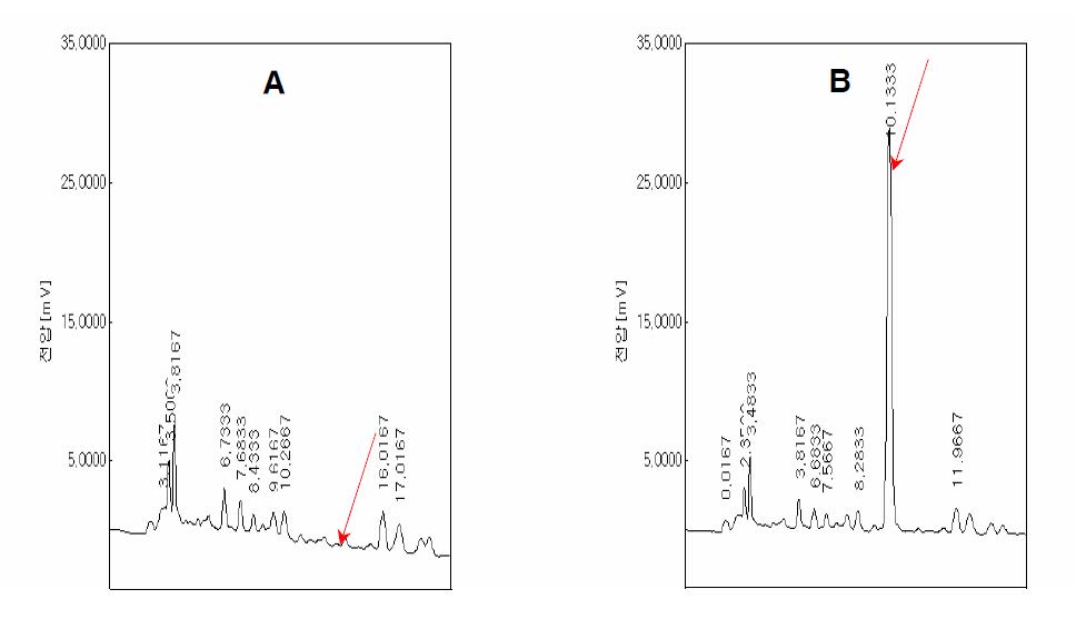 무처리 및 회수율 시험의 Chromatograms. A : 무처리 인삼시료 ; B : 1.0 ㎎/㎏ 처리구