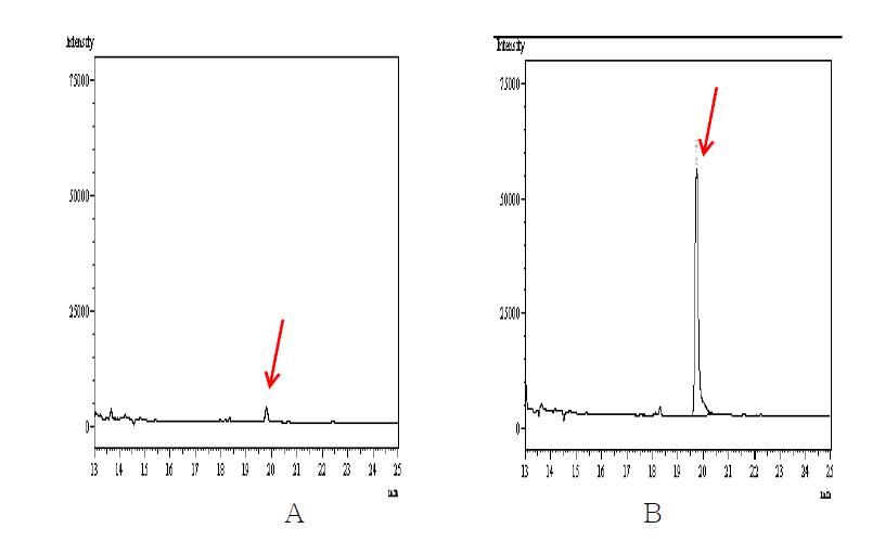 무처리 및 회수율 시험의 Chromatograms. A : 무처리 인삼시료