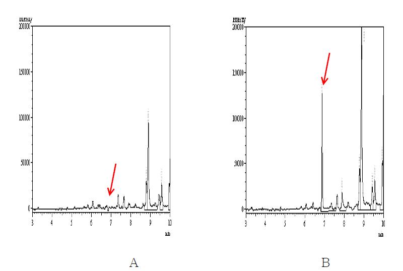 무처리 및 회수율 시험의 Chromatograms. A : 무처리 인삼시료 B : tolclofos-methyl 1.0 ㎎/㎏ 처리구