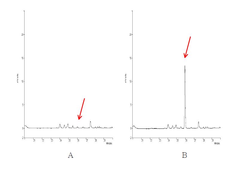 무처리 및 회수율 시험의 Chromatograms. A : 무처리 인삼시료 B : Diethofencarb 1.0 ㎎/㎏ 처리구