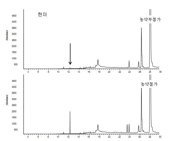 Chromatogram of hulled rice extract obtained by sample preparation and GC/MS SIM mode analysis at 0.025mg/kg spiking level