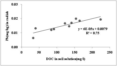 Relationship between radish Pb and DOC concentration at harvest time from the pot experiment