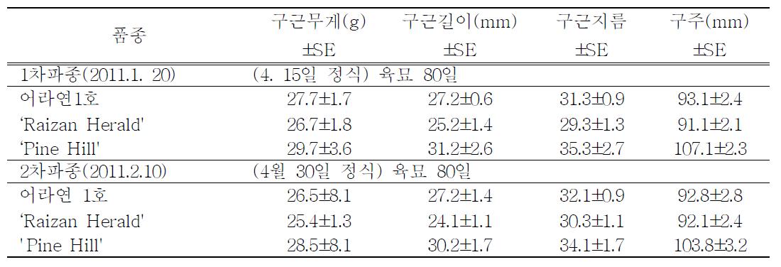 Comparison of bulb size of