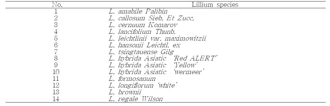 Lillium samples used in this analysis.