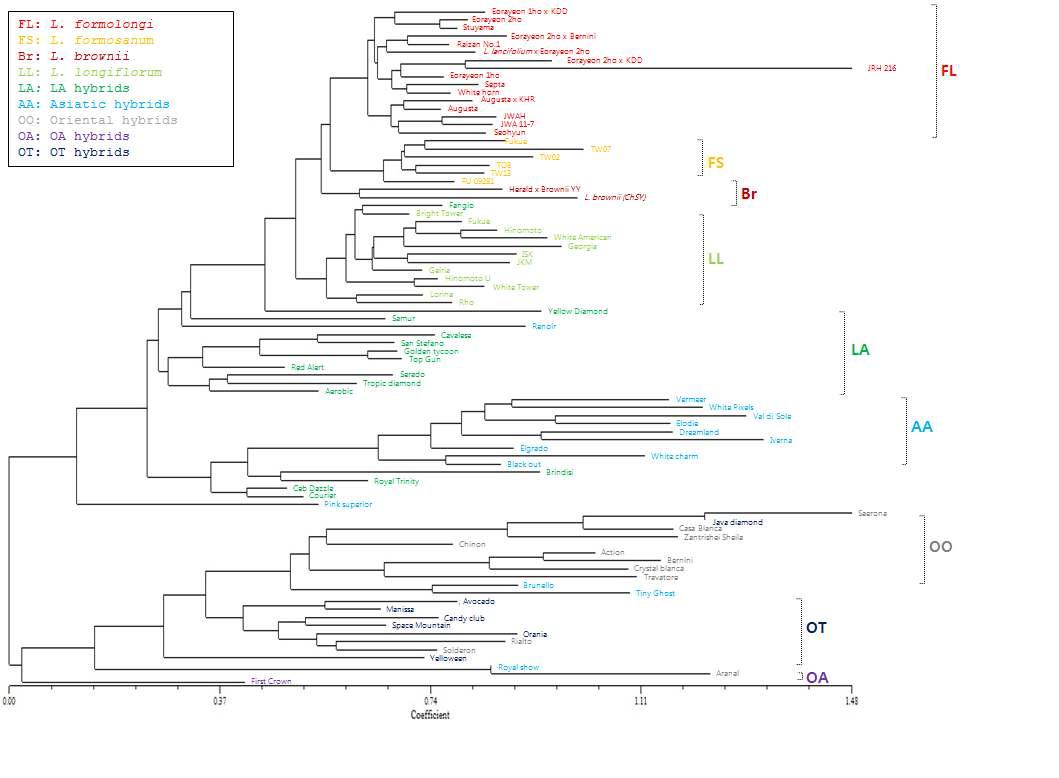 A phylogenetic dendrogram of 84 lily cultivars and accessions on the basis of 19 EST-SSR markers.